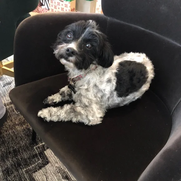 LIKE This Post for Live Show Notifications - Picture 4 of 4